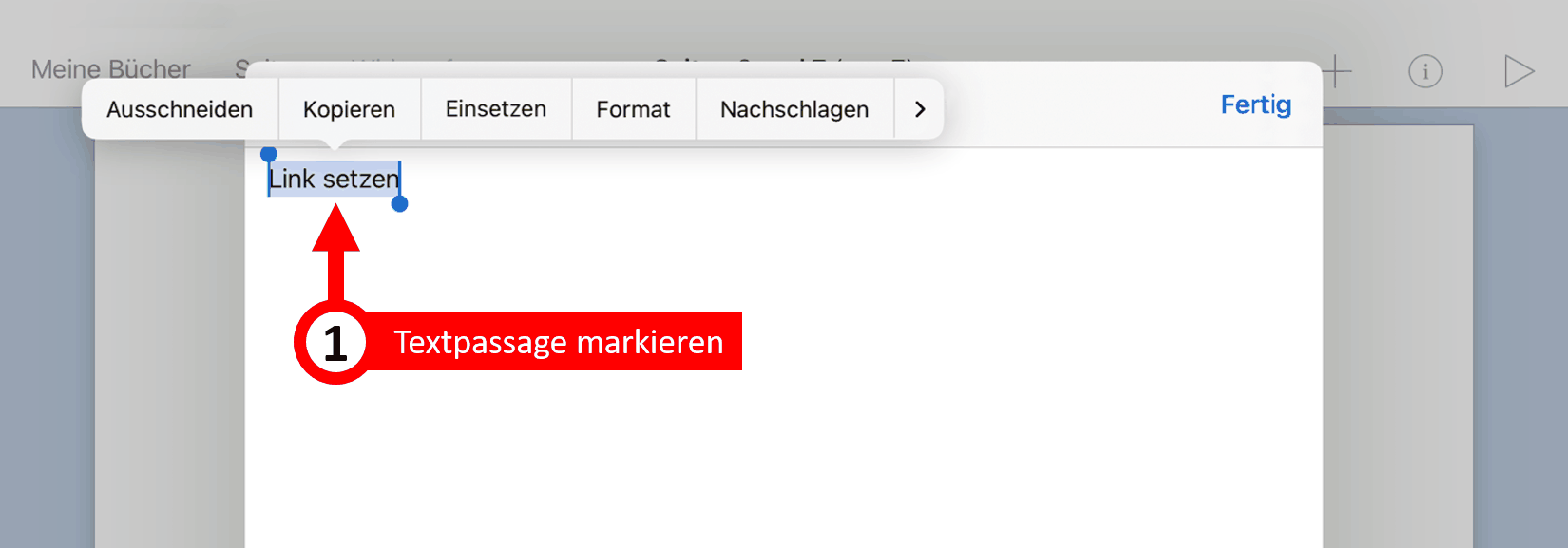 Arbeiten mit Book Creator